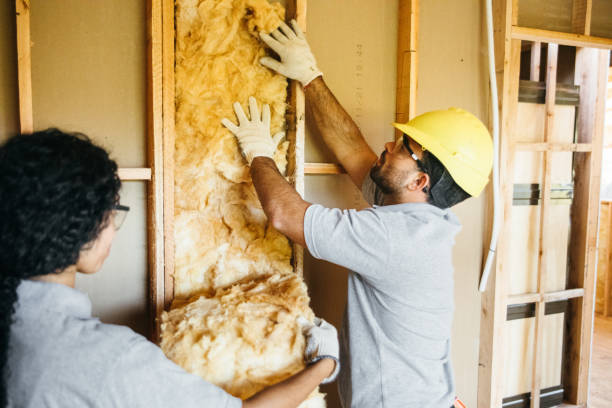 Professional Insulation in Poth, TX